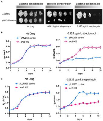 Dehydroquinate Synthase Directly Binds to Streptomycin and Regulates Susceptibility of Mycobacterium bovis to Streptomycin in a Non-canonical Mode